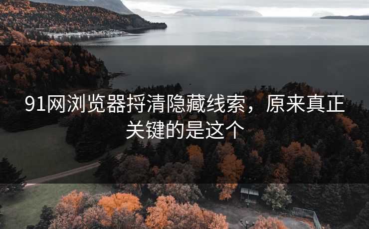 91网浏览器捋清隐藏线索，原来真正关键的是这个